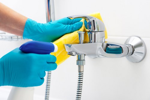 Reliable Stockwell cleaner sanitising a bathroom with attention to detail
