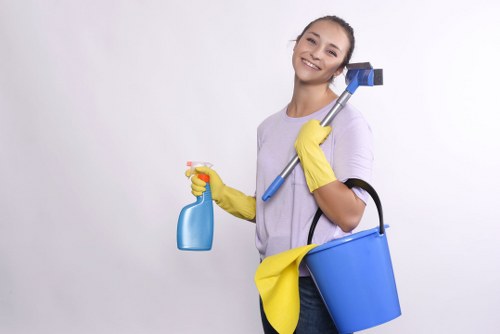 Detailed bathroom deep cleaning in Stockwell