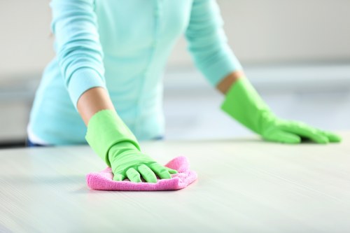Professional cleaning company in Stockwell providing domestic cleaning services