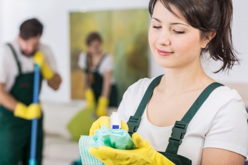 Professional carpet cleaning improving the look of a room