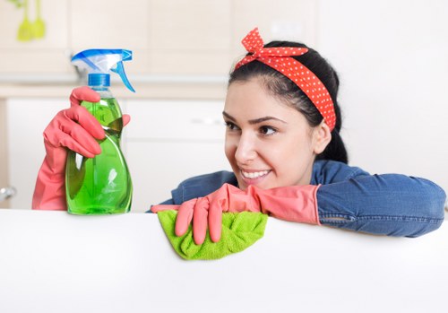 Domestic cleaner in Stockwell vacuuming a bright apartment